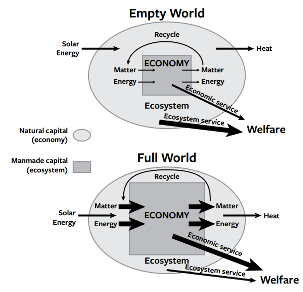 Supply Shock: Ecological Economics Comes of Age thumbnail