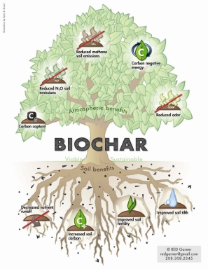 Biochar tree diagram