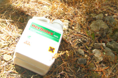 empty_glyphosate_herbolex_container_discarded_in_corfu_olive_grove
