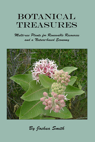 Botanical Treasures by Josh Smith (book cover)