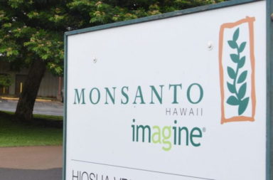 Monsanto Hawaii