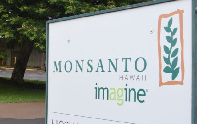Monsanto Hawaii