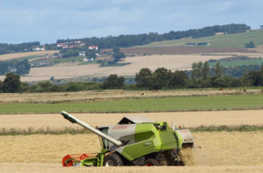 Grain farming in Scotland
