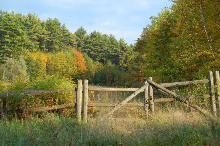 Fence image