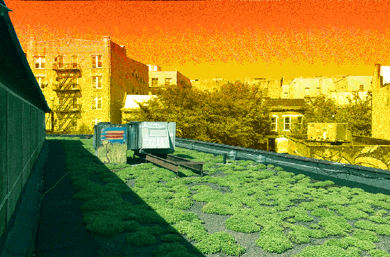 Green roofs graphic