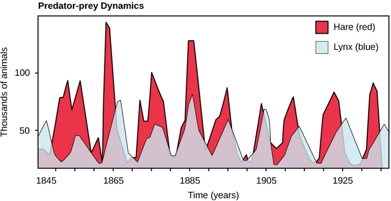 Predator prey dynamics chart