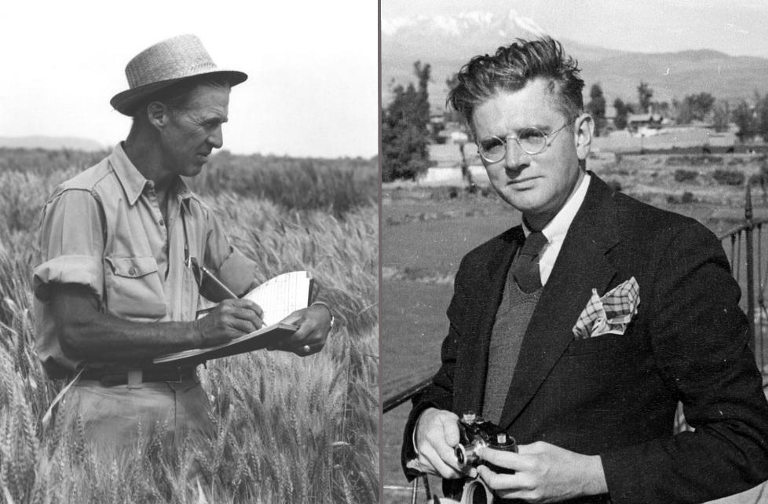 Wizard and the Prophet book image