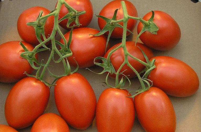Roma tomatoes