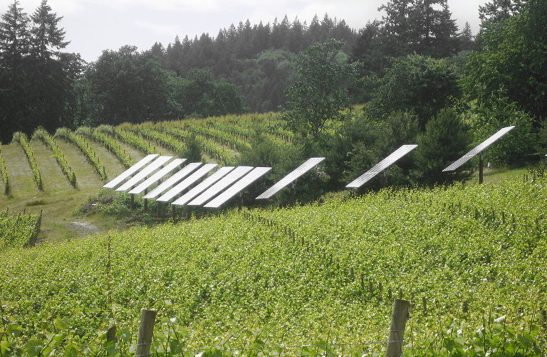 solar panels in vineyard