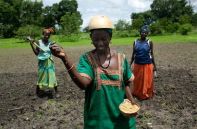 Senegal farmers