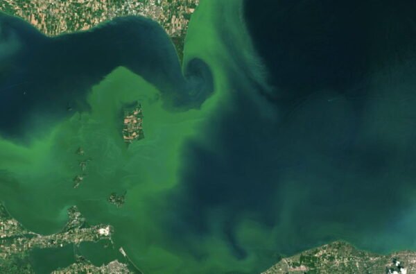 Ohio’s Watershed Moment: How to Fix Lake Erie Algae - resilience
