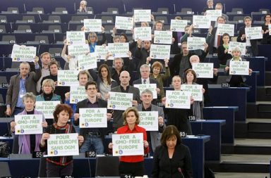 European ecologists demonstrate their opposition to GMOs in the European Parliament (2013).