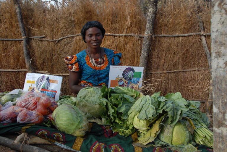 Natural agriculture in Zambia