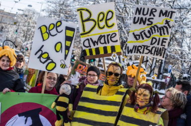 Bee protest