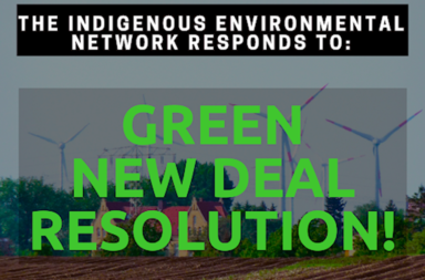 Green New Deal IEN Talking Points