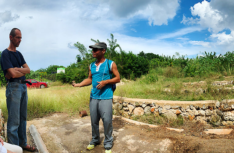 Regenerative agriculture