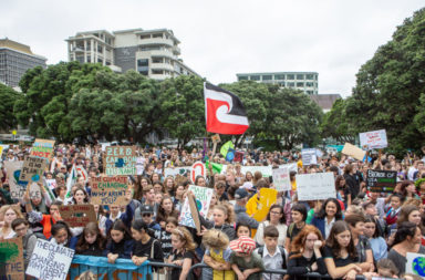 School climate strike in Wellington NZ