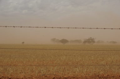 Dry Australian landscape