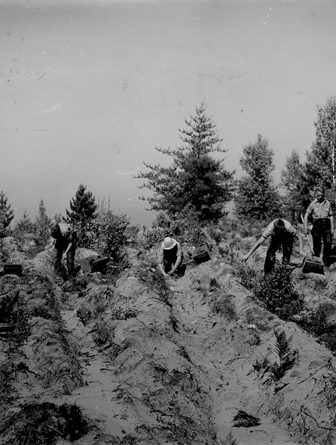 Civilian Conservation Corp