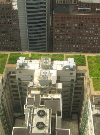 Green roof on Chicago City Hall (2008).