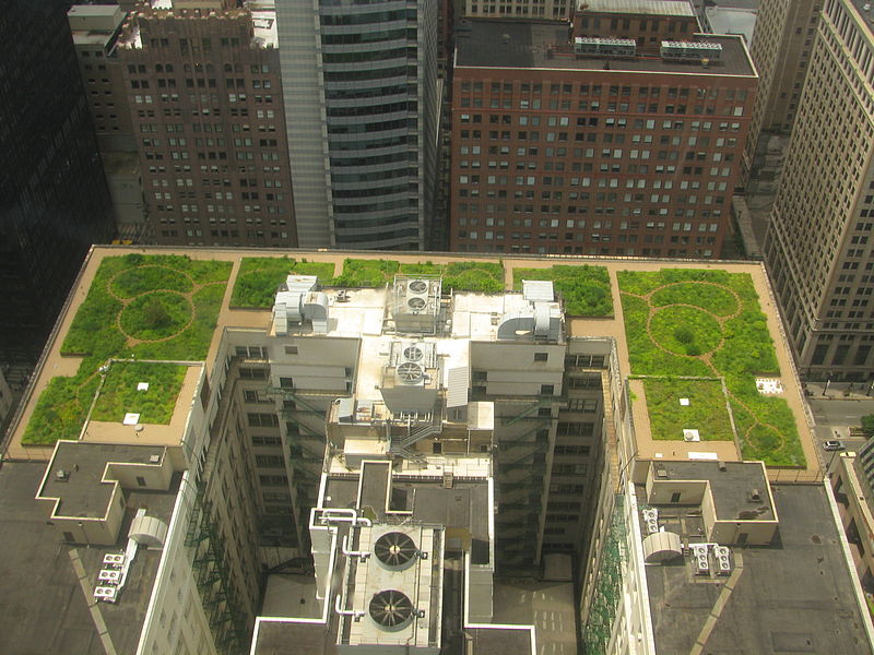 Green roof on Chicago City Hall (2008).