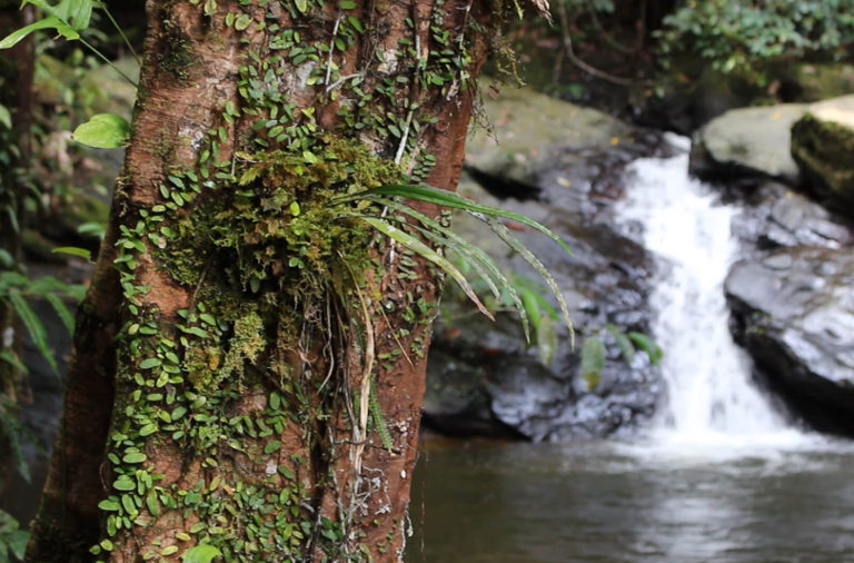 Micro hydro water source