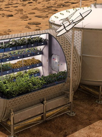 Mars Food Production