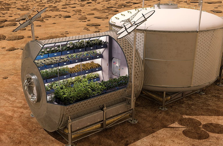 Mars Food Production