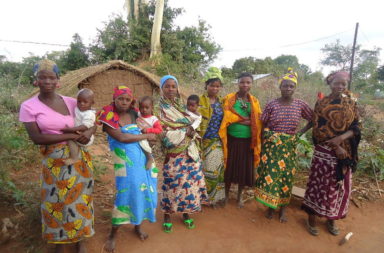 Women farmers in Mozambique
