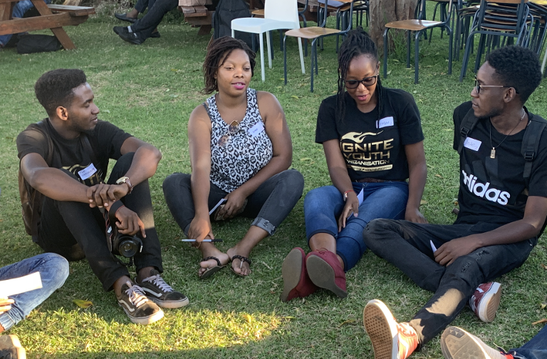 Zimbabwe offers and needs market