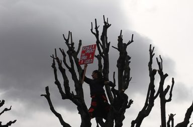 Young woman in tree: School strike for climate in Vienna