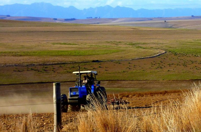 South-African farm