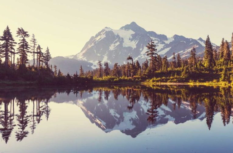 Whatcom County Washington