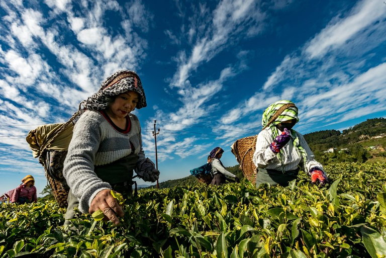 Women farmers in Singapore