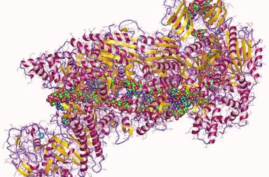 CRISPR plus DNA fragment of e.coli