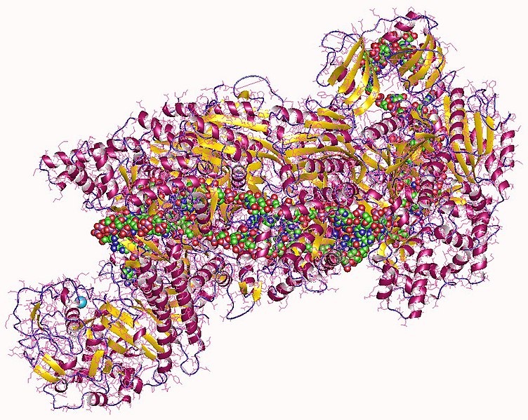 CRISPR plus DNA fragment of e.coli
