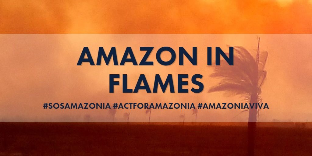 Amazon in Flames