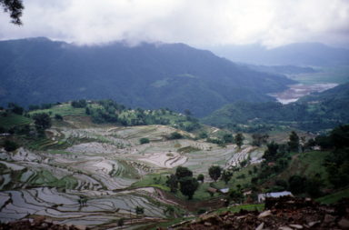 rice terraces near Pokhara, Nepal