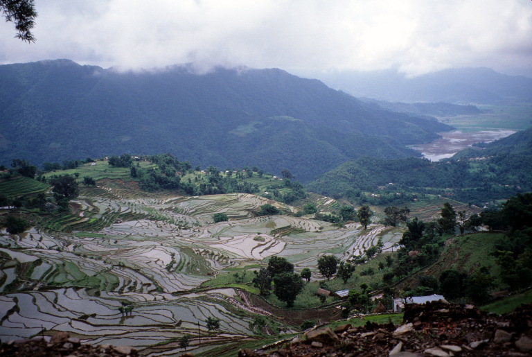 rice terraces near Pokhara, Nepal