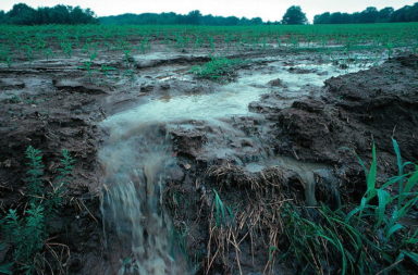 Fertilizer runoff