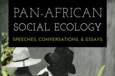 Pan-African Social Ecology cover