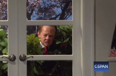 Spicey in the hedges