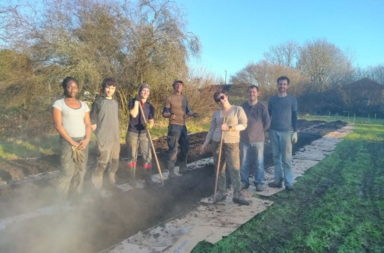 Sims Hill Shared Harvest CSA