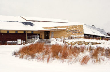 UW Arboretum winter scene