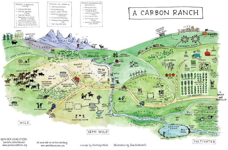 Carbon Ranch