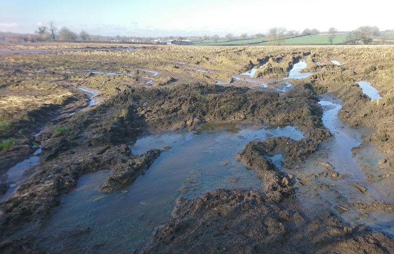 Waterlogged fields