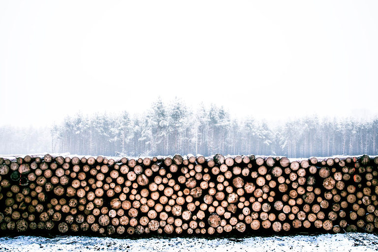 woodpile