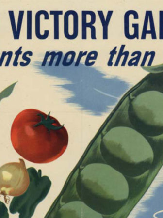 Victory-garden