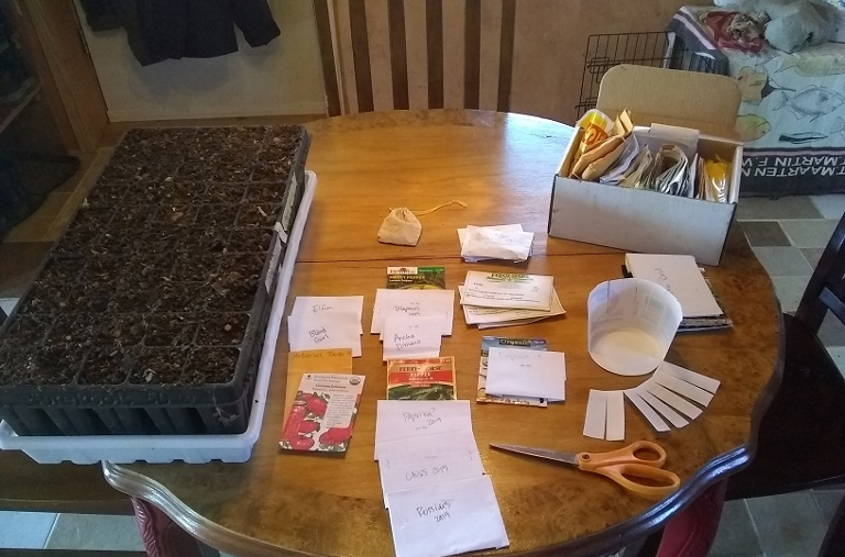 seed starting