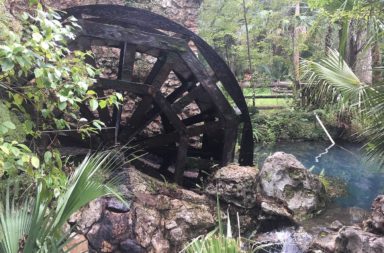 Juniper Springs Waterwheel